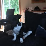 Doris_russel - @doris_russel19 - Instagram