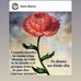 Doris Gil Berrio Salgado - Facebook