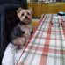 Doris Saunders - Facebook