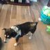 Doris Scarbrough - Facebook