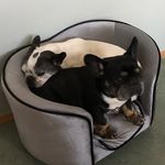 Doris Schmitt - @calimba.de.luna - Instagram