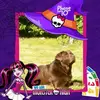Doris Schmitz437 - @dorisschmitz437 - TikTok