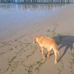 Doris Schmitz - @dorisschmitz27 - Instagram