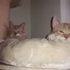 Doris Schmitz - @doris.schmitz3 - TikTok