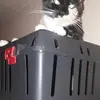 dorisschmitz691 - @dorisschmitz691 - TikTok