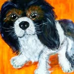 doris schubert - @drs.schbrt - Instagram