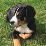 Doris Schubert - @schubert7725 - Instagram