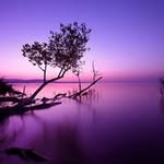 Doris Schubert - @doris.schubert - Instagram