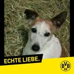 Doris Schulz - @d._schulz_59 - Instagram