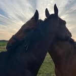 Doris Schulz - @dodo_schulz62 - Instagram