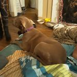Doris Shaneyfelt - @shaneyfeltdoris - Instagram