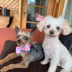 Doris Shannon - Facebook
