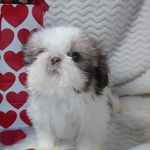 Doris Sheaffer - @sheafferdoris - Instagram