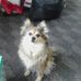Doris Simonis - Facebook