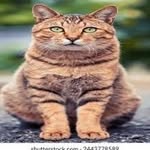 Doris Sims - @dorissims6438 - Instagram
