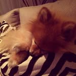Doris Sims - @doris_sims_320562 - Instagram
