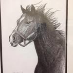 Doris Sims - @dorisannsims - Instagram