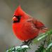 Doris Sims - Facebook