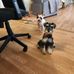 Doris Skelton - Facebook