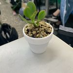 @doris_.small - Instagram