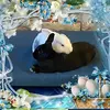 Doris Sperber958 - @dorissperber958 - TikTok