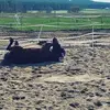 dorissperber - @dorissperber - TikTok