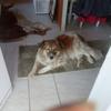 Doris Spengler - @doris.spengler - TikTok