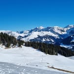 Doris Spielmann - @spielmann_doris - Instagram