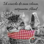 Doris Spitzer - @spitzer3913 - Instagram