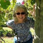 Doris Springer - @springer.doris - Instagram