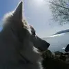 dorisspringer0 - @dorisspringer0 - TikTok