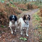 @springersdorisandmabel - Instagram