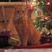 Doris Stacey - Facebook