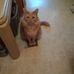 Doris Stahl - Facebook