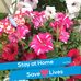 Doris Stahl - Facebook