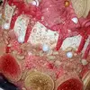 dorie stalling - @d.stallingtreats - TikTok