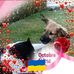 Doris Steiger - Facebook