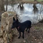 Doris Steiger - @steiger2871 - Instagram