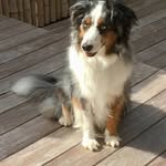 Doris Steiger-Müller - @pipolino_1 - Instagram