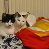 Doris Steiner495 - @dorissteiner3006 - TikTok