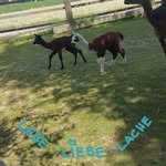 Doris Steiner - @doris.steiner3 - Instagram