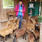 Doris Steiner - @dorissteiner67 - Instagram