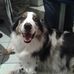 Doris Steinmetz - Facebook