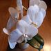 Doris Steinmetz - Facebook