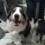 Doris Steinmetz - @steinmetz51 - Instagram