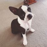 Dóris Stella - @stella.doris - Instagram