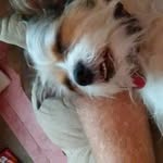 @doris.stephenson.9469 - Instagram
