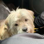 Doris Stevenson - @dsteven740 - Instagram