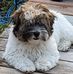 Doris Stevenson - Facebook