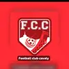 F.C.C football club cavaly ✅⚽️ - @stevensondorisma1 - TikTok